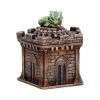 Warden of the Crypt Box Dragons New Arrivals