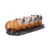 Capybara Herd Animals New Arrivals