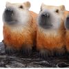 Capybara Herd Animals New Arrivals