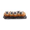 Capybara Herd Animals New Arrivals