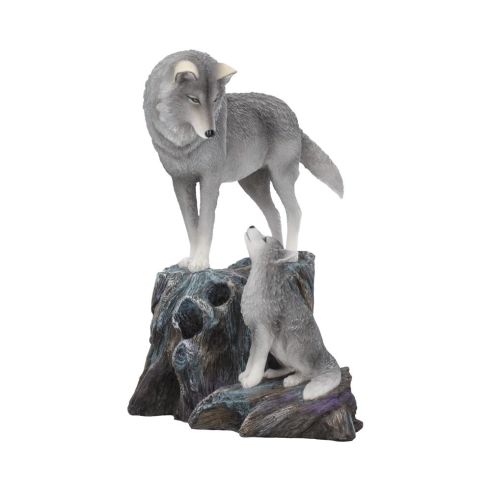 Guidance 25cm (LP) Wolves Out Of Stock