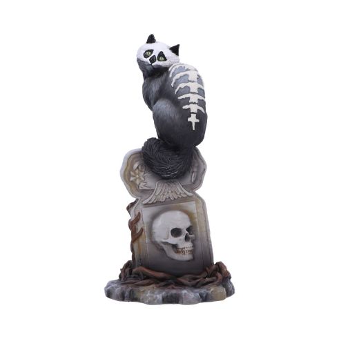 Skull Cat by Martin Hanford 15cm Cats Sale Items