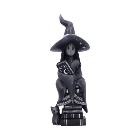 Little Souls - Shine 13.5cm Witches Top 200 None Licensed