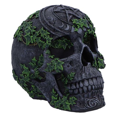 Aged Pentagram Skull 18.8cm Skulls Gifts Under £100