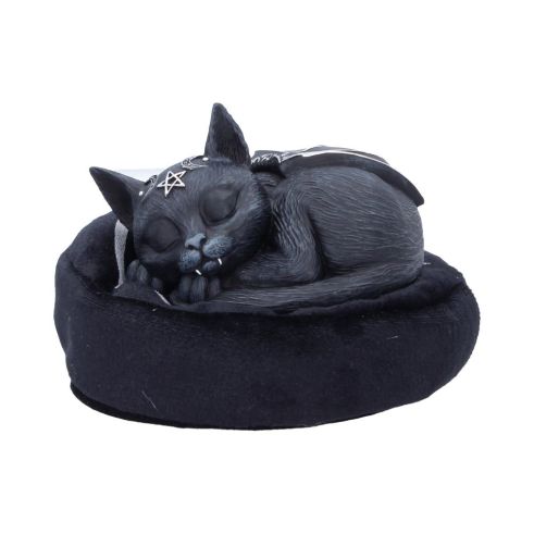 Malpuss Dreams Cats New Arrivals