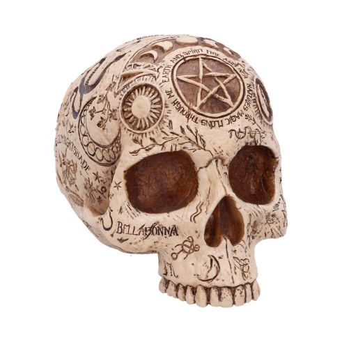 Apothecary Skulls New Arrivals