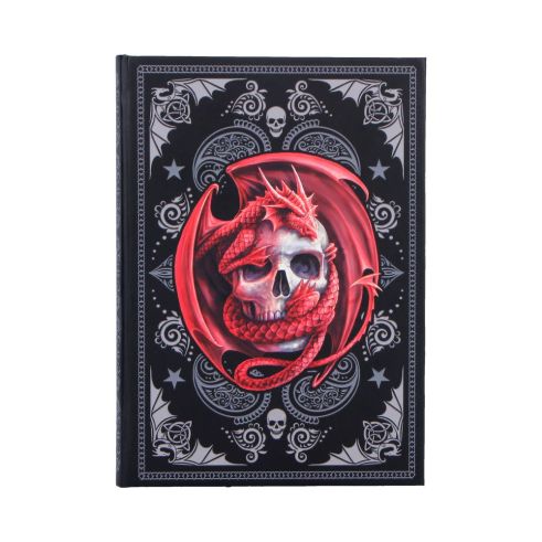 Skull Embrace Journal (AS) 17cm Dragons New Arrivals