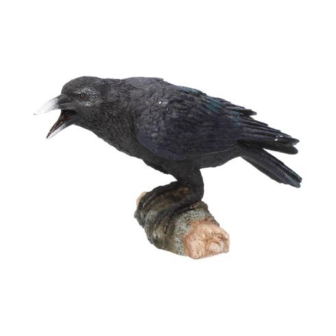 Raven's Call 20cm Ravens Every Day Is Halloween