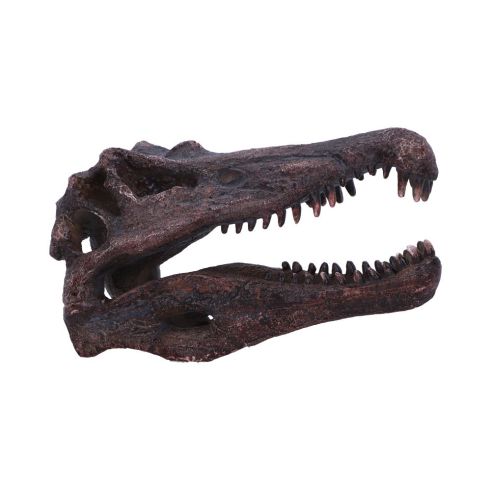 Spinosaurus Skull 16cm Dinosaurs Father's Day