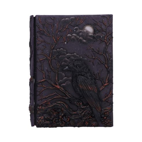 Raven's Grimoire Journal 19cm Ravens Gifts Under £100