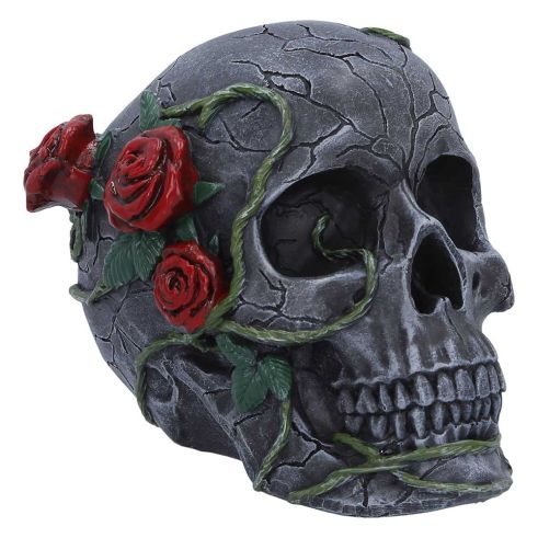 Twilight Bloom 15.6cm Skulls Out Of Stock