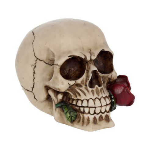 Rose From the Dead 15cm Skulls Statues Medium (15cm to 30cm)