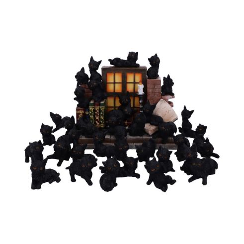 The Witches Litter 24.8cm (Display of 36) Cats Flash Sale Day 4