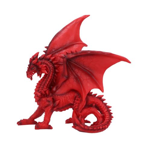 Tailong 21.5cm Dragons Dragon Figurines