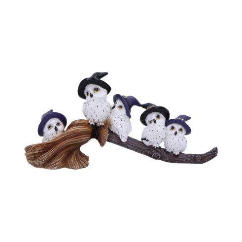 Feathered Broomstick 26cm Owls Owls