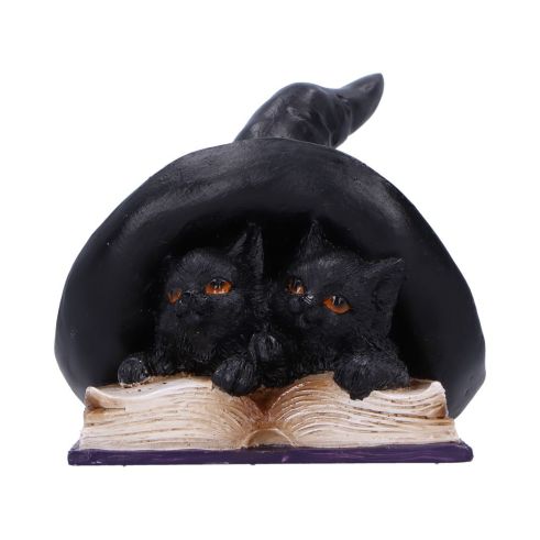 Potion Pair 10.5cm Cats Coven Keepers