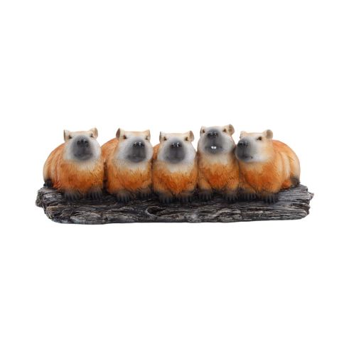 Capybara Herd Animals New Arrivals