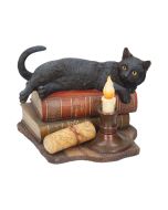 The Witching Hour (LP) 20.5cm Cats Coming Soon |