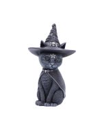 Purrah 13.5cm Cats Best Sellers
