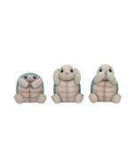 Three Wise Tortoises 8cm Animals NEMESIS NOW | EASTER SALE