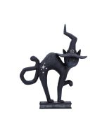 Hex 15.2cm Cats Spell Cats