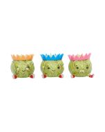 Three Wise Sprouts Unspecified Out Of Stock