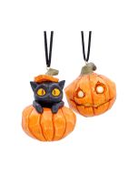 Pumpkin and Patch Hanging Ornaments (Set of 2) Cats Spooky Season