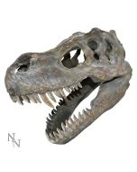 Tyrannosaurus Rex Skull Small 39.5cm B/strap Dinosaurs Top 200 None Licensed
