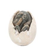Wyrmlings First Light 12cm Dinosaurs Gifts Under £100