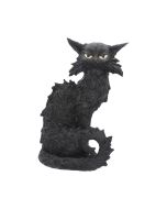 Salem 32.5cm Cats Every Day Is Halloween
