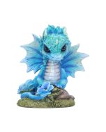 Blue Poppy Flower Dragon 11cm Dragons Flower Dragons