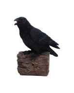 Ravens Cry 18cm Ravens Every Day Is Halloween