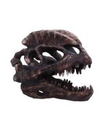 Dilophosaurus Skull 16cm Dinosaurs Top 200 None Licensed