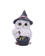 Owl Potion 17.5cm Owls Sale Items