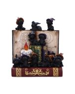 Coven Keepers (Display Stand with 36pcs) Cats Top 200 None Licensed