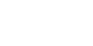 Wonderland Fairies