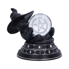 Purrah's Fortune 12.2cm Cats Top 200 None Licensed