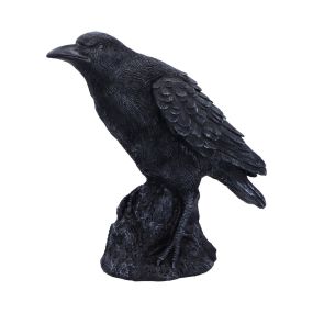 Raven Messenger 25cm Ravens Every Day Is Halloween