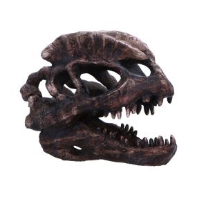 Dilophosaurus Skull 16cm Dinosaurs Top 200 None Licensed