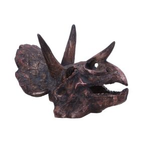Triceratops Skull 14.5cm Dinosaurs Top 200 None Licensed