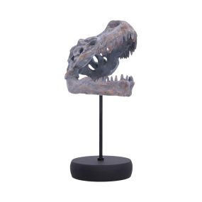 Tyrannosaurus Rex Skull on Plinth Dinosaurs Father's Day