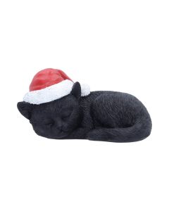 Merry Whiskers Cats New Arrivals