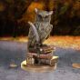 Ulula 23cm Owls Gifts Under £100