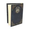 Embossed Journal The Wild One (LP) 17cm Wolves Gifts Under £100