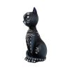 Mystic Kitty 26cm Cats Halloween RRP Above 20