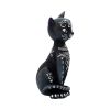 Mystic Kitty 26cm Cats Halloween RRP Above 20