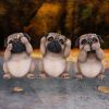 Three Wise Pugs 8.5cm Dogs Gift Shop Essentials Pocket Money