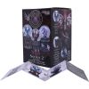 Dragon Heart Snow Globe (AS) Dragons Articles en Vente