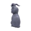 Pawzuph 26.5cm (Large) Cats Top 200 None Licensed