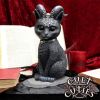 Pawzuph 26.5cm (Large) Cats Top 200 None Licensed